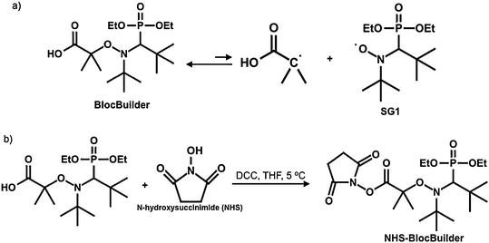 Illustration of the nitroxide initiators: (a) BlocBuilder is based on the SG1 family of nitroxide; (b) BlocBuilder is reacted with N-hydroxysuccinimide to form the succinimidyl ester terminated BlocBuilder that is used in this study.