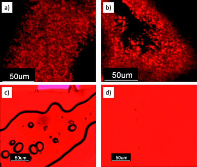 Optical microscopic images of (a) PPBI 1 and (b) PBI-Sty 6 at RT under crossed polarizers exhibiting birefringence. (c) and (d) show optical microscopic images of PPBI 2 and PPBI 4 respectively with a λ/4 plate. No texture could be observed for PPBI 2 even at prolonged annealing or on slow cooling at 1 K min−1.