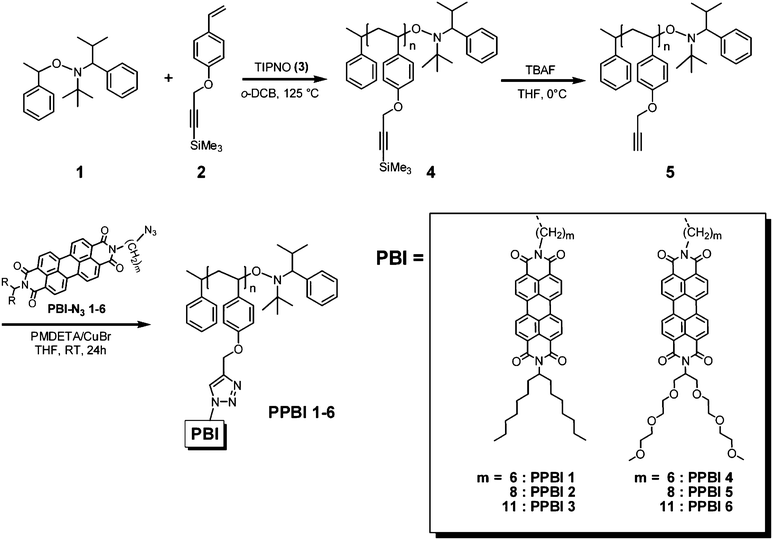 Synthetic scheme for alkyne functionalized scaffold polymer 5 and “clicked” poly(perylene bisimides), PPBIs 1–6.