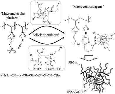 General procedure for the synthesis of the macrocontrast agent by grafting DO3A(Gd3+)–N3 (up pathway) and DO3AtBu–N3 (bottom pathway) onto alkyne bearing copolymers.