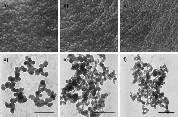 
            SEM (a, b, c) and TEM (d, e, f) images of CLPNs with the molar ratio of EGDMA to PIL of a) 5 : 1; b) 2 : 1; c) 1 : 2; d) 5 : 1; e) 2 : 1; f) 1 : 2. The scale bar is 200 nm.