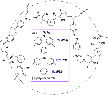 The structures of P60–P62.