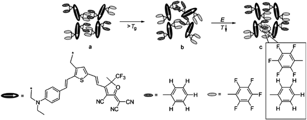 Graphical illustration of the alignment formation of self assembled chromophore 27 by Ar–ArF interactions: (a) locked random dipoles (shown as arrows) before poling; (b) unlocked random dipoles before poling; (c) locked acentric dipoles after poling followed by cooling.