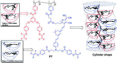 The structure of polymer P7.