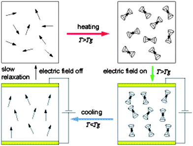 Graphical illustration of the poling procedure for NLO-polymers.2