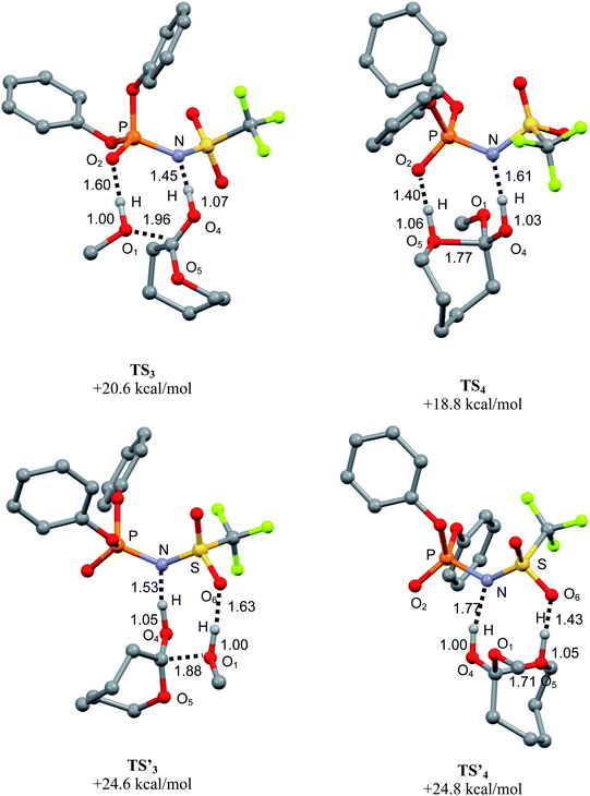 Optimized geometries of the transition states associated with the nucleophilic addition (TS′33) and ring-opening (TS′44) steps upon bifunctional activation by the phosphoramidic acid PAA (top: participation of the PO moiety, bottom: participation of the SO moiety). Selected bond distances are given in Å, Gibbs energies relative to the most stable ternary adduct of reactants.