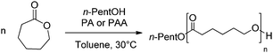 
            ROP of ε-CL initiated by n-PentOH and catalyzed by PA or PAA.