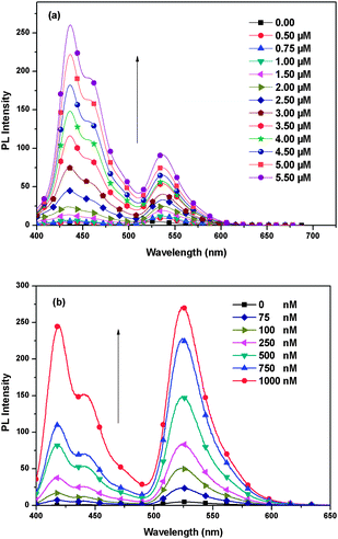 (a) The emission spectrum of P2/ssDNA-FAM solution upon increasing of [P2]. (b) The emission spectrum of P2/ssDNA-FAM solution upon increasing of [PB3]. The arrows indicate increasing [P2/PB3]. Excitation at 380 nm.