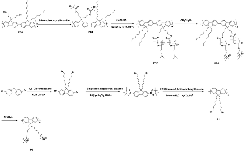 Synthetic routes towards PB3 and P2.