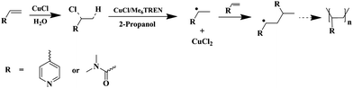 The proposed mechanism of polymerization of 4VP and DMAA.