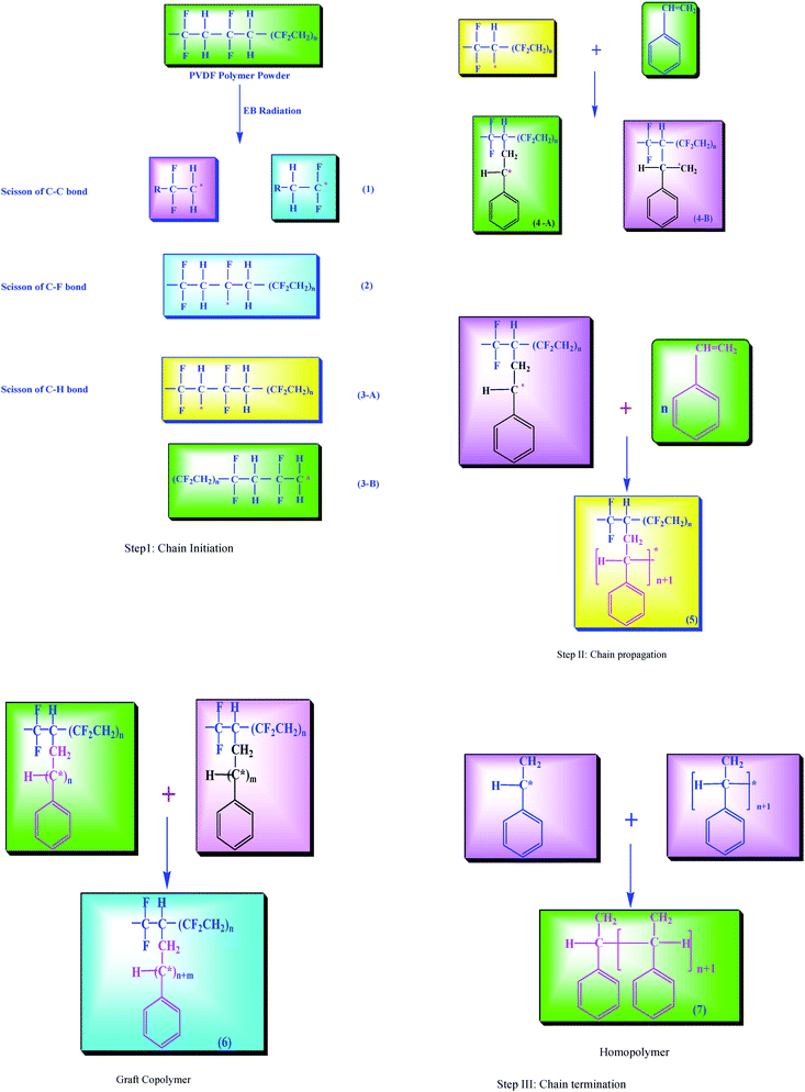 Mechanism for graft copolymerization of styrene onto pristine PVDF polymer.
