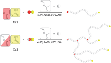 Synthesis of linear and branched poly(vinyl acetate)s by xanthate-mediated reversible addition–fragmentation chain transfer, using methyl 2-[(ethoxycarbonothioyl)sulfanyl]propanoate (Xa1) and vinyl 2-[(ethoxycarbonothioyl)sulfanyl]propanoate (Xa2) as chain-transfer agents, respectively. Re-initiating fragments in red. Xanthate functions including an ethoxy activating group in yellow. Polymerizable functions in white. AcOEt: ethyl acetate. AIBN: azobisisobutyronitrile.