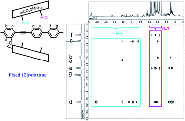 400 MHz ROESY NMR spectrum of fixed [2]rotaxane 4 in CDCl3 at 25 °C.11