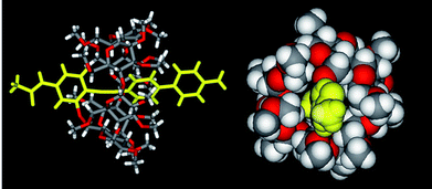 Lateral (stick model) and top (space-filling model) view of 4.15