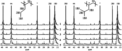 
            13C NMR spectra of (A) P4M1P and (B) poly-1-pentene synthesized with catalysts 1–5 at 70 °C.