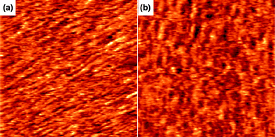
            STM images of (a) 3a and (b) 3b on highly ordered pyrolytic graphite (HOPG). Imaging conditions: Ebias, itunneling, and image sizes were 0.95 V, 90 pA, and 50 × 50 nm.
