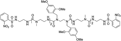 Structure of oligomer 1.
