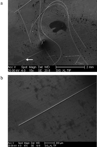 SEM images of fibers resulting from the self-assembly of 1 in DMF. (a) Fibers of 1 self assembled in DMF. (b) Magnification of fiber marked with arrow in Fig. 3a.