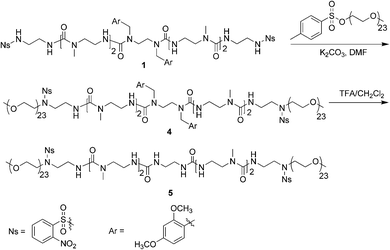 Synthetic scheme of PEG conjugates 4 and 5.