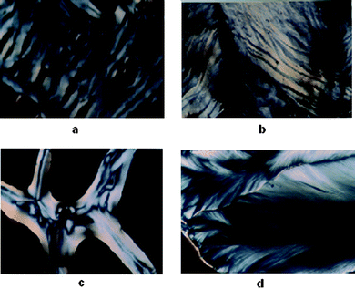 (a) Fluid cholesteric phase obtained after 3 h when Mg–DNA was treated with 100 mM spermine and incubated in a glass slide at 37 °C. (b) Cholesteric phase with striped pattern obtained after 12 h with Ca–DNA when treated with 200 mM spermine and incubated in a glass slide at 37 °C. (c) Cholesteric phase with nematic threaded structures obtained after 3 h with Sr–DNA when treated with 200 mM spermine and incubated in a glass slide at 37 °C. (d) Fan shaped textures of columnar phase obtained after 1 week with Ca–DNA when treated with 200 mM spermine and incubated in a glass slide at 37 °C.