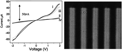 Left: I–V plots of a cell containing a film of 12 after UV and visible light exposure. (i) as prepared under UV irradiation; (ii) after irradiation with visible light for 30 min; (iii) 2nd cycle, after UV irradiation for 30 min; and (iv) 2nd cycle, after irradiation with visible light for 30 min. Right: photograph of an electrode image written on a colored film of 12 through irradiation with a 532 nm laser and the use of a mask. The dark area represents the masked closed-ring region, and the bright areas the unmasked open-ring region. The gap between the nearest two bright bars is 5 μm. Modified with permission from ref. 23 Copyright 2006 The Royal Society of Chemistry.