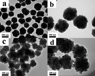 TEM images of (a) Fe3O4 nanoclusters; (b) Fe3O4 nanoclusters at higher magnification; (c) PPy nanoclusters; (d) PPy nanoclusters at higher magnification.