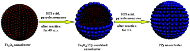 Schematic representation of the proposed PPy nanocluster formation mechanism.