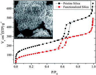 
            Nitrogen
            adsorption/desorption isotherms for the pure and functionalized silica [Inset: SEM image of pristine silica].