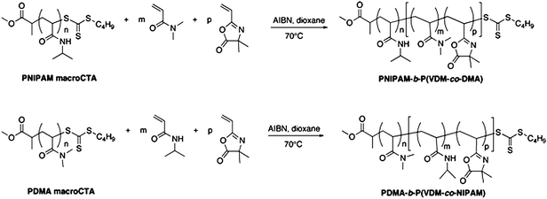 Synthesis of PNIPAM-b-P(VDM-co-DMA) and PDMA-b-P(VDM-co-NIPAM) copolymers by RAFT polymerization.