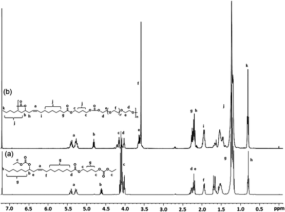 Stacked 1H-NMR spectra of (a) EOBEOE and (b) poly(ester carbonate) (PEC-IV) derived by polycondensation of EOBEOE and PEG200.