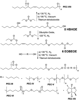 Synthesis of EOBEOE and poly(ester carbonate)s therefrom.
