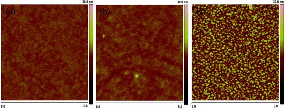 
            AFM topography images of the blend films of copolymers: PC70BM (1 : 1, w/w): (a) PT–C1, (b) PT–C2, (c) PT–C3.