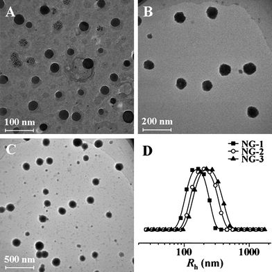 
            TEM micrographs of NG-1 (A), NG-2 (B) and NG-3 (C), and hydrodynamic radii (Rh) of NGs (D).