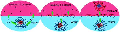 Possible mechanism of Nile red transfer and release from an aqueous to an organic (non-polar) phase.