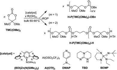 Schematic representation of the [catalyst/alcohol]-mediated iROP of TMC(OMe)2: synthesis of P(TMC(OMe)2).