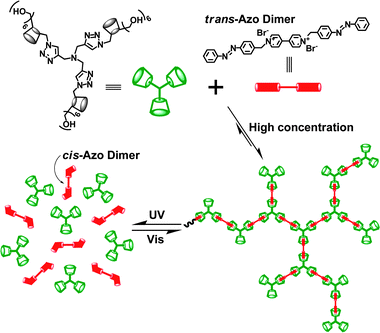 Schematic representation of the photo-controlled polymerization and depolymerization of a β-CD3/Diazo supramolecular hyperbranched polymer based on host–guest interactions.