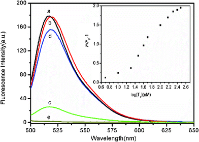 
          Fluorescence emission spectra of PHIV (50 nM) at different conditions: (a) PHIV; (b) PHIV + 300 nM T1; (c) PHIV + FePNPs; (d) PHIV + FePNPs +300 nM T1. Curve e is the emission spectra of FePNPs. Inset: fluorescence intensity changes (F/F0–1) of PHIV–FePNP complex plotted against the logarithm of the concentration of T1 (where F0 and F are the fluorescence intensities without and with T1, respectively). Excitation was at 480 nm, and the emission was monitored at 522 nm. All measurements were done in Tris-HCl buffer in the presence of 5 mM Mg2+ (pH: 7.4).