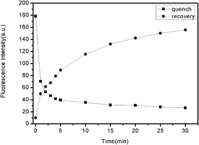 Fluorescence quenching of PHIV (50 nM) by FePNP (square) and fluorescence recovery of PHIV–FePNP complex by T1 (300 nM) (round) as a function of incubation time. Excitation wavelength was 480 nm, and the emission was monitored at 522 nm. All measurements were done in Tris–HCl buffer in the presence of 5 mM Mg2+ (pH: 7.4).