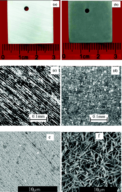Optical and SEM images of the AA6063 samples: (a) & (c) optical images of a polished and cleaned sample, (b) & (d) optical images of a sample treated with the K2ZrF6 solution, (e) a SEM image of the untreated AA6063, (f) a SEM image of the conversion coating formed on AA6063.