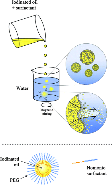 Diagram of the nano-emulsion formulation process (top), and morphology of the nano-droplets formed (bottom).