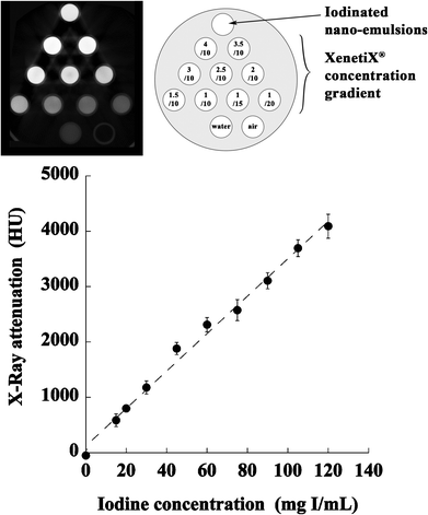 
            In vitro X-Ray visibility of the iodinated nano-emulsions (120 nm), water, air, and various dilutions of a commercial hydrophilic contrast agent, XenetiX® at 300 mg I/mL. (Top) raw data from the microCT apparatus, and a diagram of the dilutions. (Bottom) resulting calibration curve established with XenetiX®.