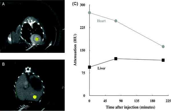 Follow-up of the attenuation, measured in Hounsfield Units (HU), for the left ventricle and liver after IV injection of the contrast agent. (A) Three-slice view showing the cylindrical region of interest (ROI) in yellow, in the left ventricle where all the measurements were taken. (B) Three-slice view showing the cylindrical ROI in the hepatic parenchyma where all the measurements were taken. The chosen ROI did not contain large vessels. (C) The attenuation over time curve showing the mean for each ROI, with administration of the IV injection at the origin of the time axis. As references, the values of the X-ray attenuation in these two ROI were also measured before the IV injection: 5 and 15 HU, respectively for heart and liver.