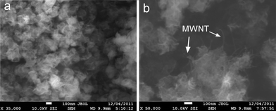 
          SEM images of (a) nano-Ni(OH)2 and (b) CN.