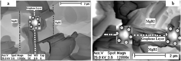 (a,b) Scanning Electron Microscope (SEM) image recorded for MgB2/Graphene/MgB2 junction along the ab– and ba– perpendicular plane respectively, using a small piece (cut into very thin layer by diamond cutter) of the prepared junction (dark grey = graphene film and pale grey = MgB2 superconductor)