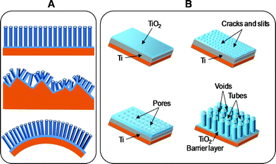 (A) Scheme of nanotube growth on different substrates. Top to bottom: smooth substrate (conducting glass); rough substrate (polycrystalline alumina); flexible substrate (plastic sheet). (B) Schematic diagram of the evolution of a nanotube array by means of potentiostatic mode anodization.