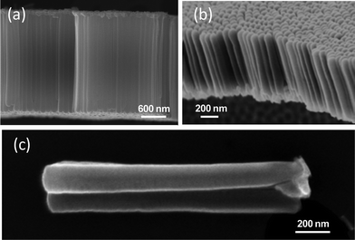 
            SEM images of the cross-section of TiO2 nanotube arrays formed (a) on PET at 50 V, 140 min, (b) on alumina at 50 V, 60 min, (c) on alumina at 60 V, 90 min (single tube).