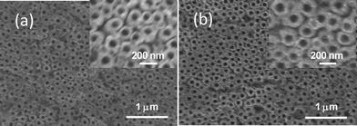 
            SEM images of anodized titanium sheets in 0.5% NH4F and 2 mol L−1H2O contained glycerol based electrolyte at (a) 80 V and (b) 100 V.