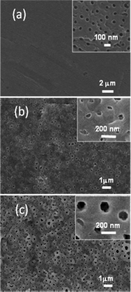 
            SEM surface morphologies of samples anodized (a) in 0.5% NH4F and 2 mol L−1H2O glycerol based electrolyte at 30 mA, 7 min, (b) in 1M H2SO4 aqueous solution at 10 mA, 30 s, (c) in 1M H2SO4 aqueous solution at 150 mA, 10 s.