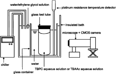 Schematic diagram of the apparatus for hydrate crystal growth.