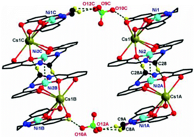 Perspective view of [(NiIIL)2CsI](ClO4).CH3CN (5) demonstrating cyclic self-assembly generated due to Ni⋯Ni interaction and C–H⋯O hydrogen bonds. Hydrogen atoms, except those participating in hydrogen bonds, are omitted. The ethoxy carbon atoms are also not shown for clarity. Symmetry codes: A, −x, 1 − y, 1 − z; B, −x, −y, 1 − z; C, x, −1 + y, z.